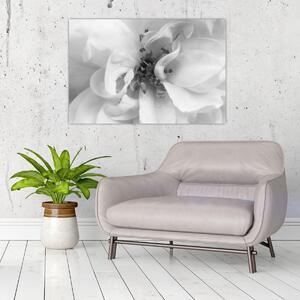 Tablou - Floare,alb-negru (90x60 cm)