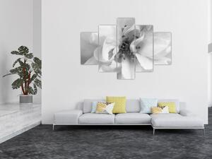 Tablou - Floare,alb-negru (150x105 cm)