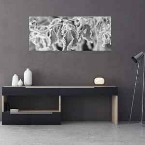 Tablou - Frunze înghețate,alb-negru (120x50 cm)