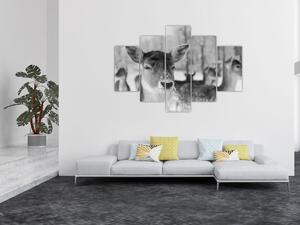 Tablou - Cerbi,alb-negru (150x105 cm)