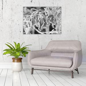 Tablou - Frunze înghețate,alb-negru (70x50 cm)