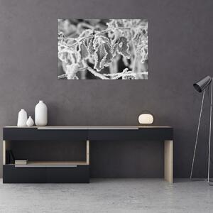 Tablou - Frunze înghețate,alb-negru (90x60 cm)