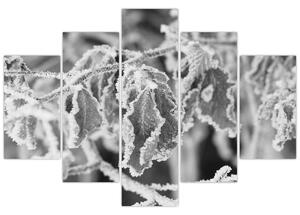 Tablou - Frunze înghețate,alb-negru (150x105 cm)