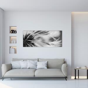 Tablou - Macro,alb-negru (120x50 cm)