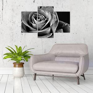 Tablou - Trandafir,alb-negru (90x60 cm)