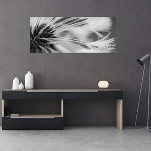 Tablou - Macro,alb-negru (120x50 cm)