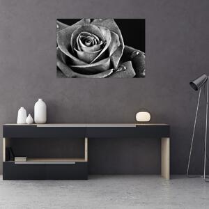 Tablou - Trandafir,alb-negru (90x60 cm)