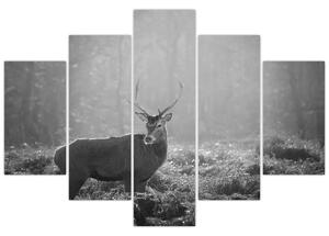 Tablou - Căprioare in pădure,alb-negru (150x105 cm)
