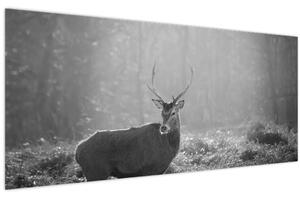 Tablou - Căprioare in pădure,alb-negru (120x50 cm)