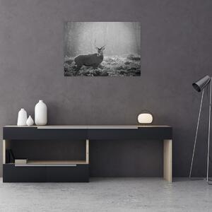 Tablou - Căprioare in pădure,alb-negru (70x50 cm)