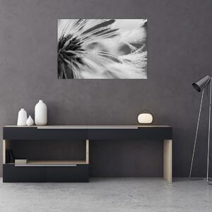 Tablou - Macro,alb-negru (90x60 cm)