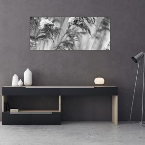 Tablou - Tei,alb-negru (120x50 cm)