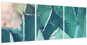Tablou - Suculent (cu ceas) (90x30 cm)