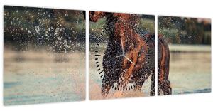 Tablou - Cal care aleargă (cu ceas) (90x30 cm)
