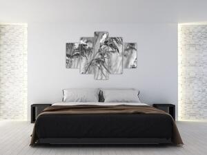 Tablou - Tei,alb-negru (150x105 cm)