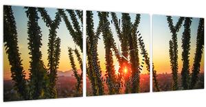 Tablou - Plante (cu ceas) (90x30 cm)