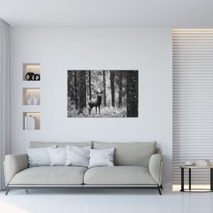 Tablou - Căprioare in pădure 2,alb-negru (90x60 cm)