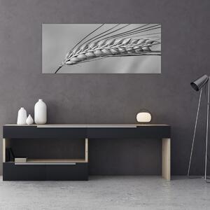 Tablou - Grâu,alb-negru (120x50 cm)