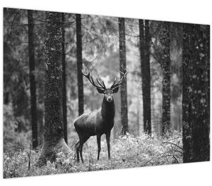 Tablou - Căprioare in pădure 2,alb-negru (90x60 cm)