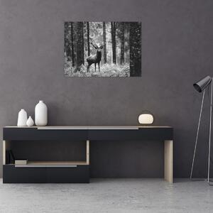 Tablou - Căprioare in pădure 2,alb-negru (70x50 cm)