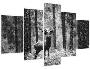 Tablou - Căprioare in pădure 2,alb-negru (150x105 cm)