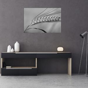 Tablou - Grâu,alb-negru (90x60 cm)