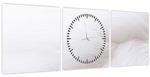 Tablou - Detalii pene (cu ceas) (90x30 cm)
