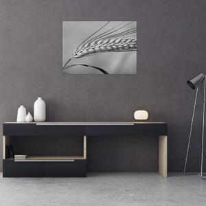Tablou - Grâu,alb-negru (70x50 cm)