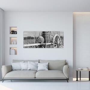 Tablou - Remorcă,alb-negru (120x50 cm)