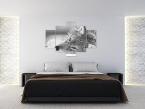 Tablou - Lup,alb-negru (150x105 cm)