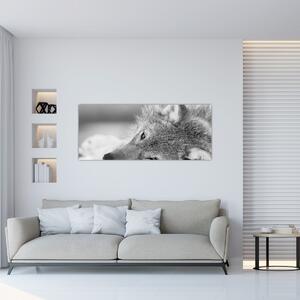 Tablou - Lup,alb-negru (120x50 cm)