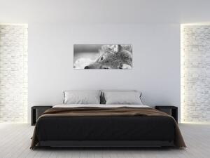 Tablou - Lup,alb-negru (120x50 cm)