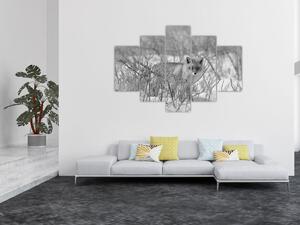 Tablou - Vulpe,alb-negru (150x105 cm)