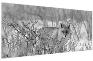 Tablou - Vulpe,alb-negru (120x50 cm)