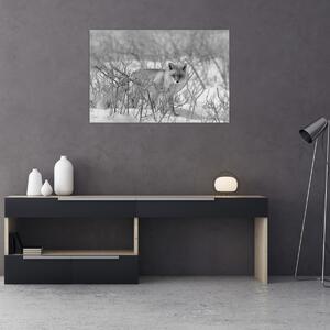Tablou - Vulpe,alb-negru (90x60 cm)