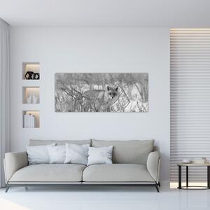 Tablou - Vulpe,alb-negru (120x50 cm)