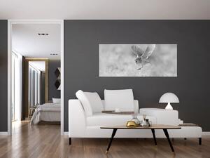 Tablou - Bufniță,alb-negru (120x50 cm)