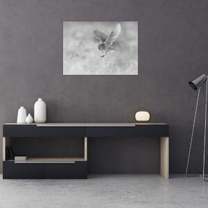 Tablou - Bufniță,alb-negru (70x50 cm)
