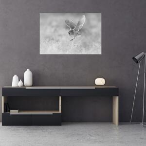 Tablou - Bufniță,alb-negru (90x60 cm)