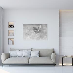 Tablou - Bufniță,alb-negru (90x60 cm)