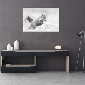 Tablou - Vulpe care sare,alb-negru (90x60 cm)