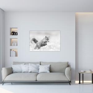 Tablou - Vulpe care sare,alb-negru (90x60 cm)
