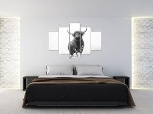 Tablou - Vacă scoțiană 4,alb-negru (150x105 cm)