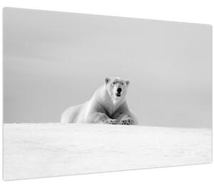 Tablou - Urs polar,alb-negru (90x60 cm)