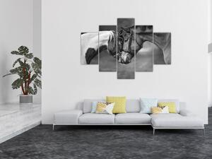 Tablou - Cai îndrăgostiți,alb-negru (150x105 cm)