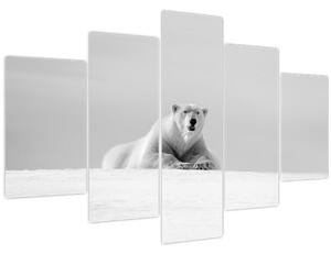Tablou - Urs polar,alb-negru (150x105 cm)