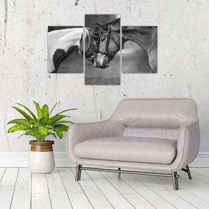 Tablou - Cai îndrăgostiți,alb-negru (90x60 cm)
