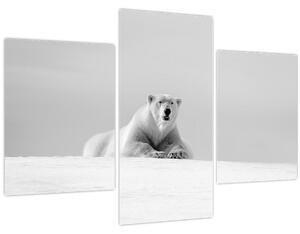 Tablou - Urs polar,alb-negru (90x60 cm)
