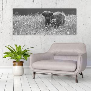 Tablou - Vacă scoțiană 5,alb-negru (120x50 cm)
