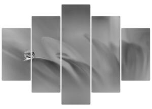 Tablou - Picătură pe floare,alb-negru (150x105 cm)